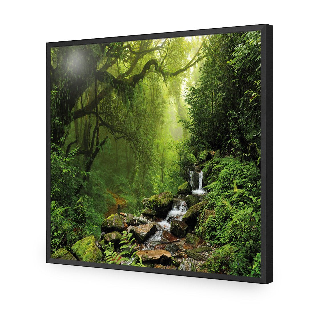 Romantic Rainforest (square) - Wall Art Designs - 153_AS_Q WAD_AP - 030 - EDG_37x37_S - 2538 - BLK