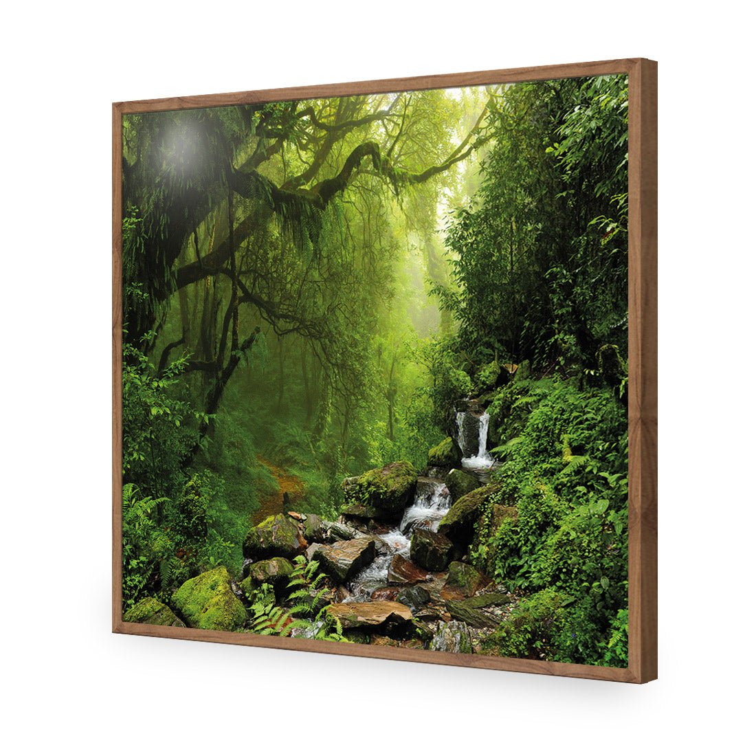 Romantic Rainforest (square) - Wall Art Designs - 153_AS_Q WAD_AP - 030 - EDG_37x37_S - 2538 - NAT