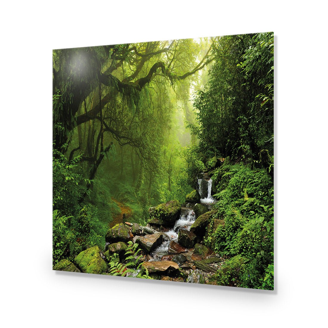 Romantic Rainforest (square) - Wall Art Designs - 153_AS_Q WAD_AP - 030 - EDG_37x37_NONE