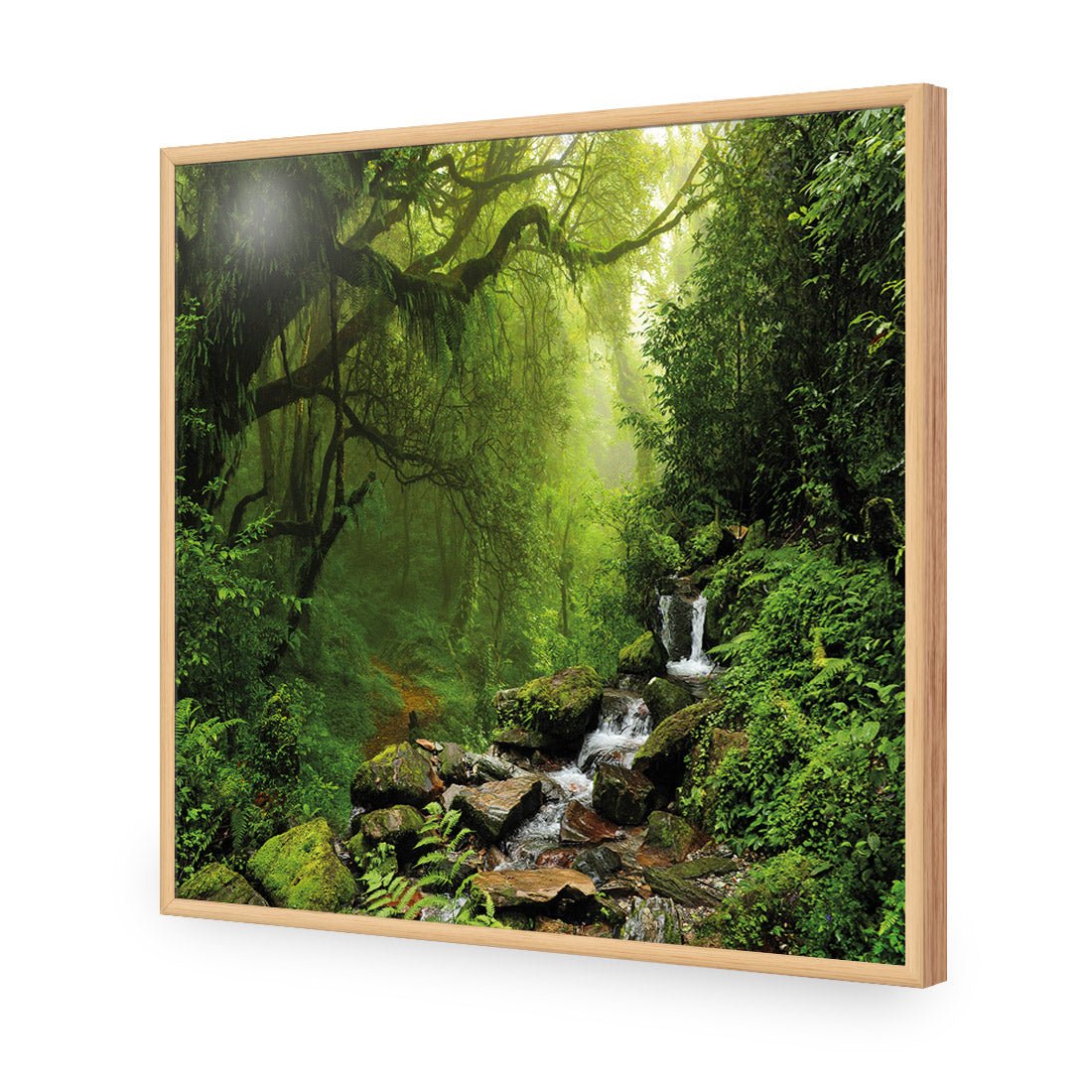 Romantic Rainforest (square) - Wall Art Designs - 153_AS_Q WAD_AP - 030 - EDG_37x37_S - 2538 - OAK