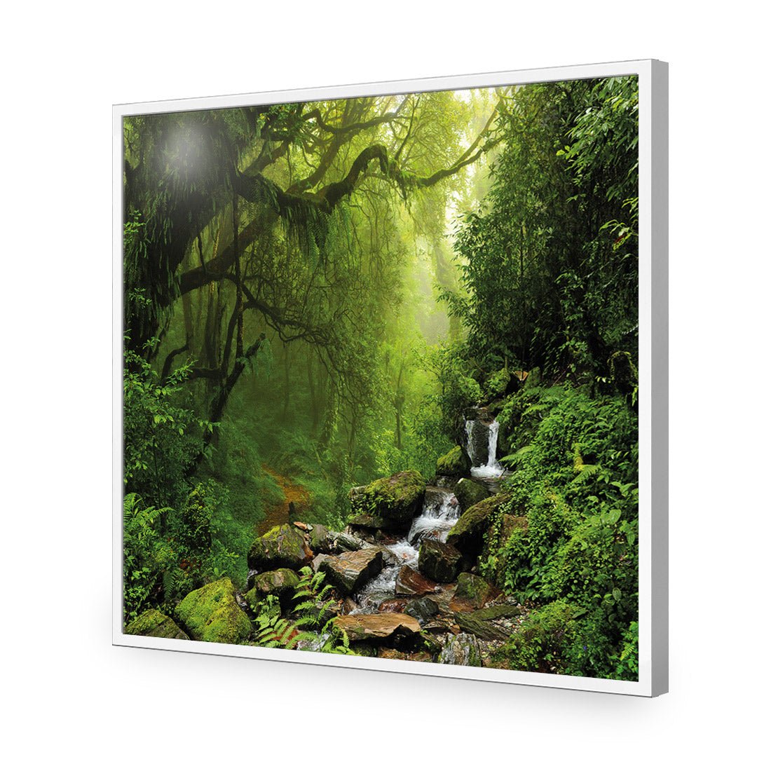 Romantic Rainforest (square) - Wall Art Designs - 153_AS_Q WAD_AP - 030 - EDG_37x37_S - 2538 - WHT