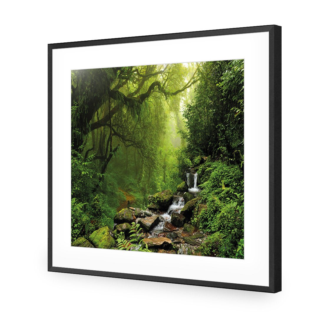 Romantic Rainforest (square) - Wall Art Designs - 153_AS_Q WAD_AP - 030 - MAT_37x37_S - 2538 - BLK