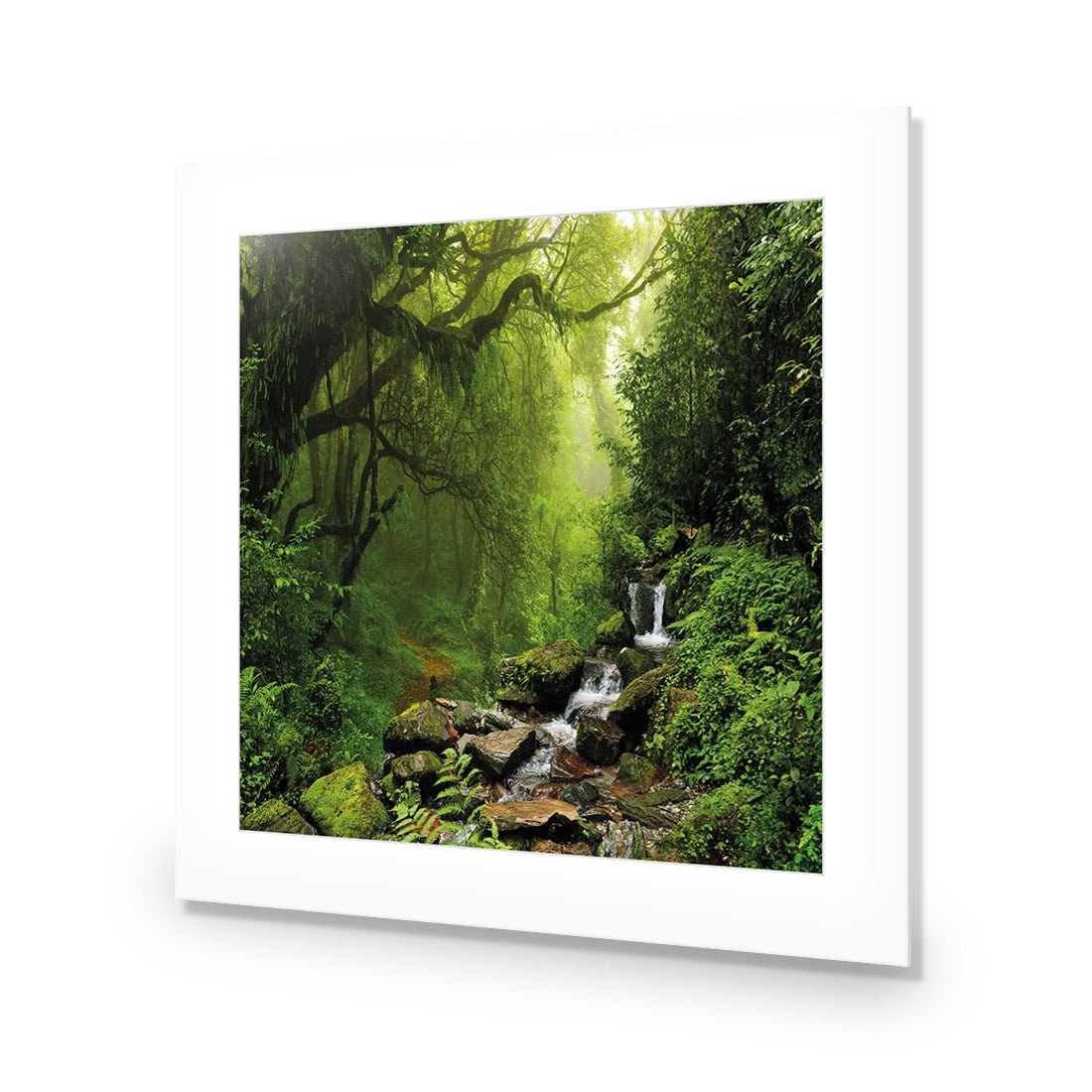 Romantic Rainforest (square) - Wall Art Designs - 153_AS_Q WAD_AP - 030 - MAT_37x37_NONE