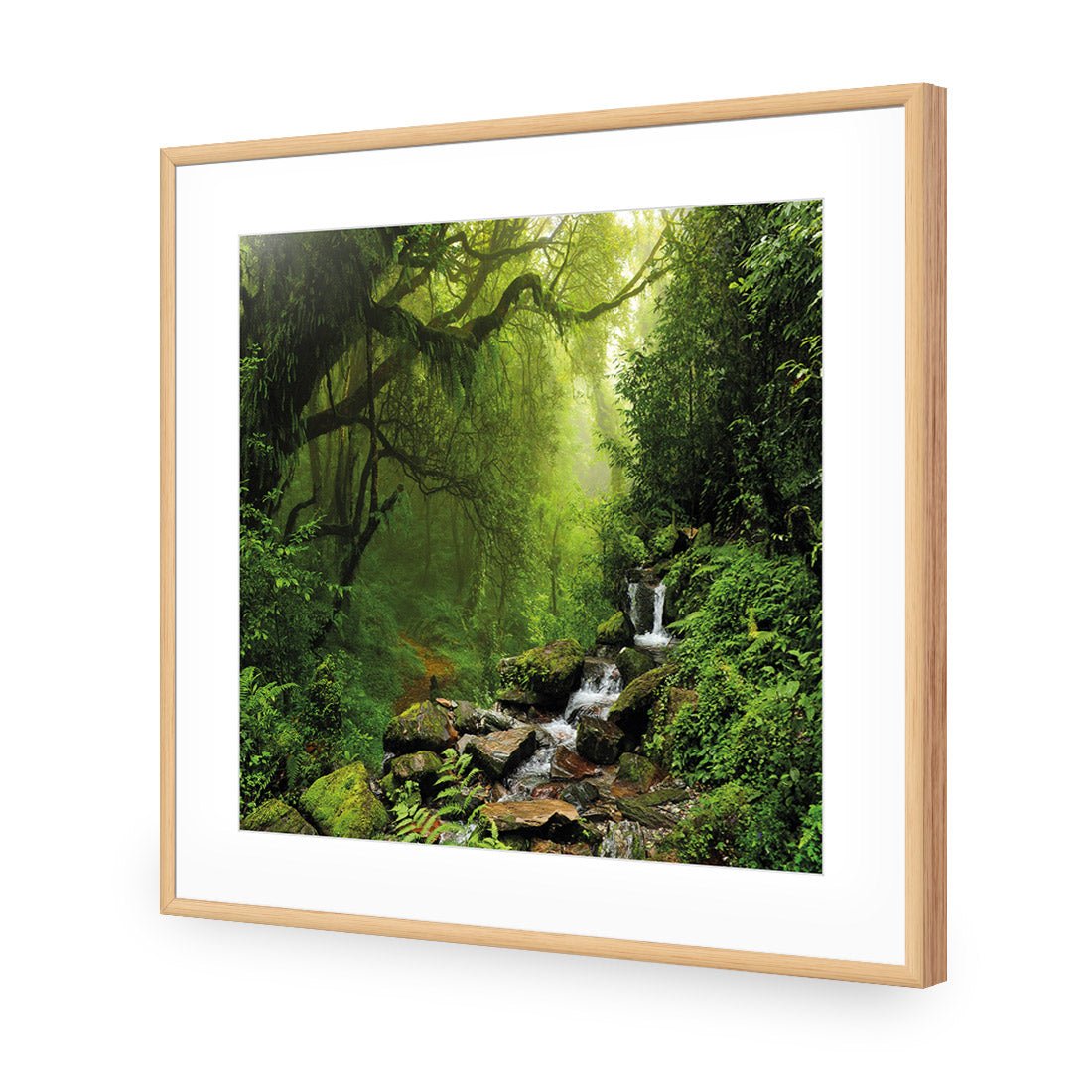 Romantic Rainforest (square) - Wall Art Designs - 153_AS_Q WAD_AP - 030 - MAT_37x37_S - 2538 - OAK