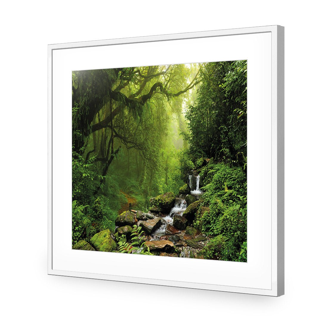 Romantic Rainforest (square) - Wall Art Designs - 153_AS_Q WAD_AP - 030 - MAT_37x37_S - 2538 - WHT