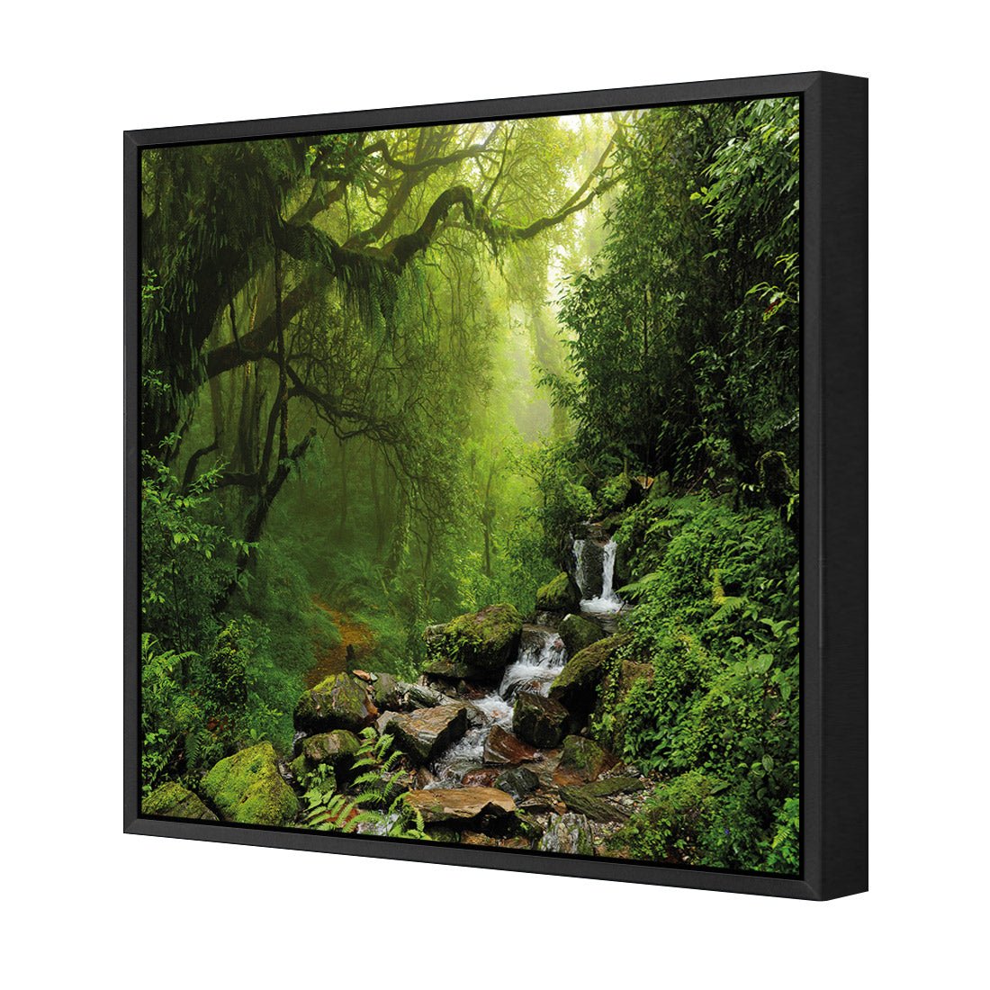 Romantic Rainforest (square) - Wall Art Designs - 153_AS_Q WAD_CP - MPY - 260 - M - S - S_37x37_S - 1550 - BLK