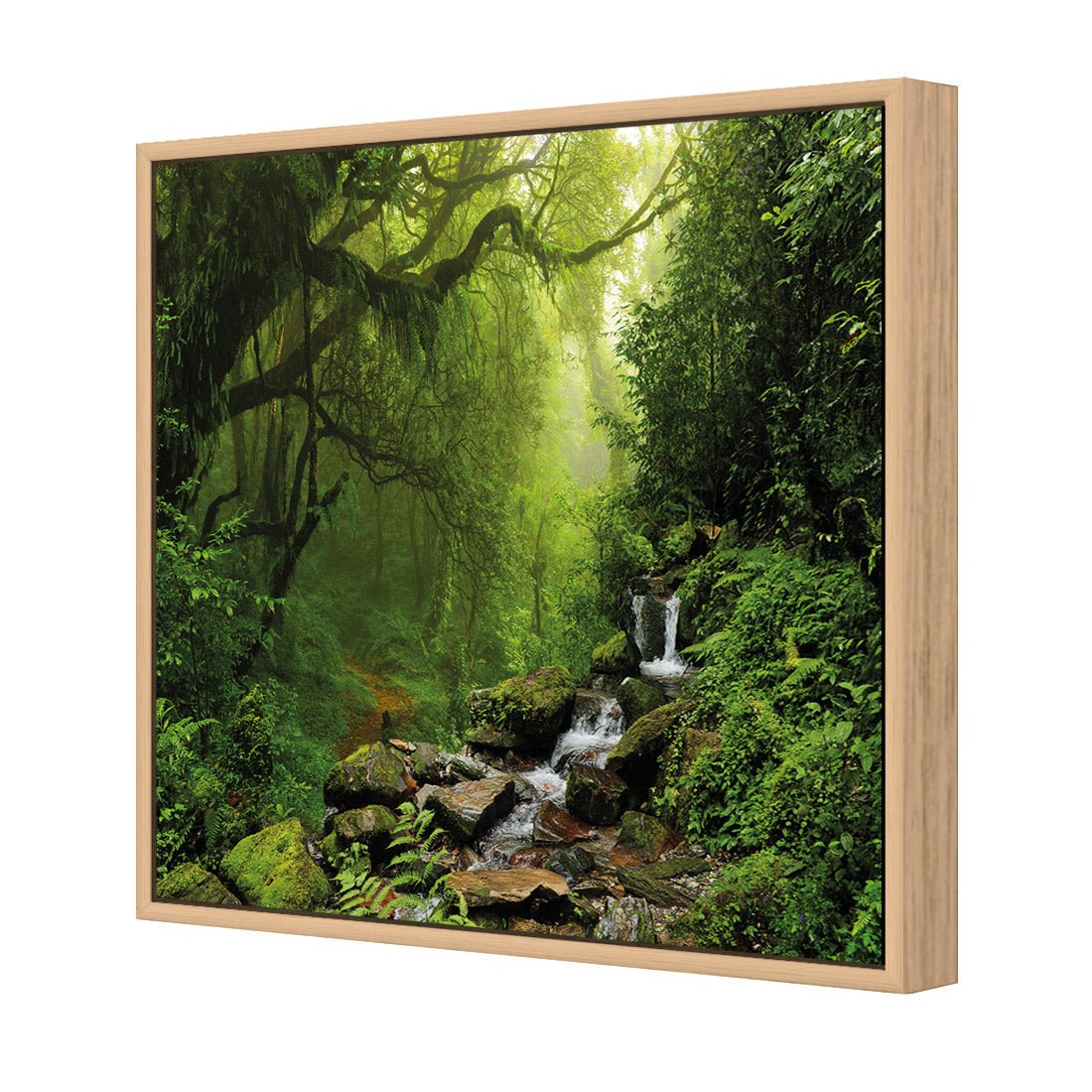 Romantic Rainforest (square) - Wall Art Designs - 153_AS_Q WAD_CP - MPY - 260 - M - S - S_37x37_S - 1550 - OAK