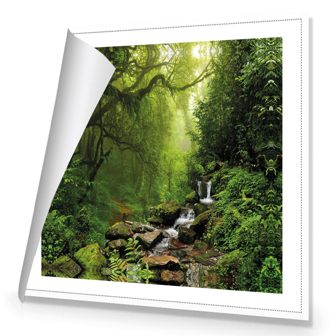 Romantic Rainforest (square) - Wall Art Designs - 153_AS_Q WAD_CP - MPY - 260 - M - R_37x37_NONE