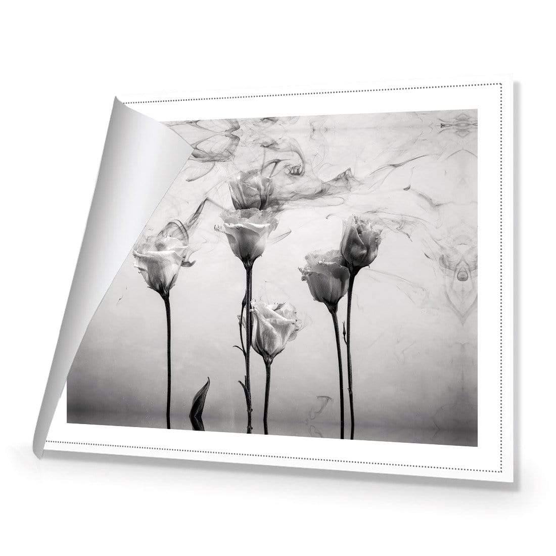 Rose Smoke - Wall Art Designs - 3070_AR_H WAD_CP - MPY - 260 - M - R_45x30_NONE