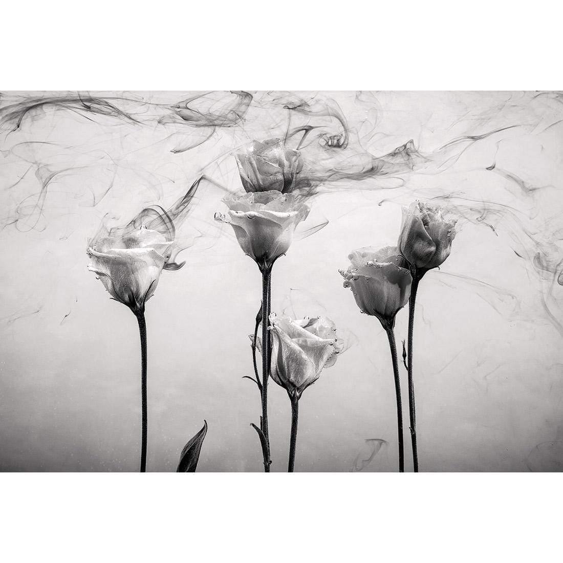 Rose Smoke - Wall Art Designs - 3070_AR_H WAD_CP - MPY - 260 - M - S - S_45x30_NONE