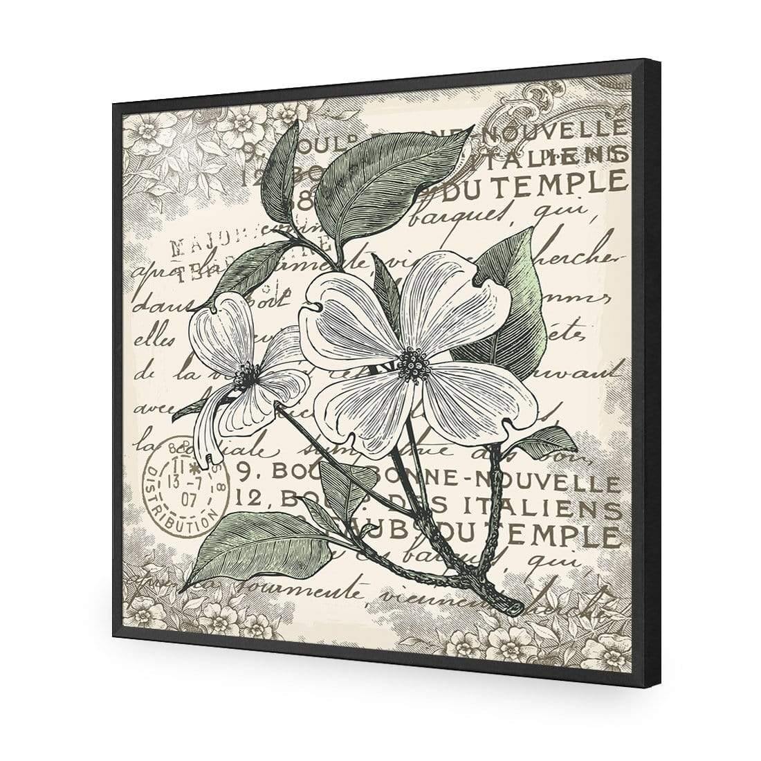 Shabby Chic Flower 8 - Wall Art Designs - 3234_AS_Q WAD_AP - 030 - EDG_37x37_S - 2538 - BLK