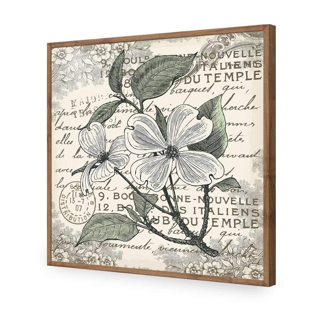 Shabby Chic Flower 8 - Wall Art Designs - 3234_AS_Q WAD_AP - 030 - EDG_37x37_S - 2538 - NAT