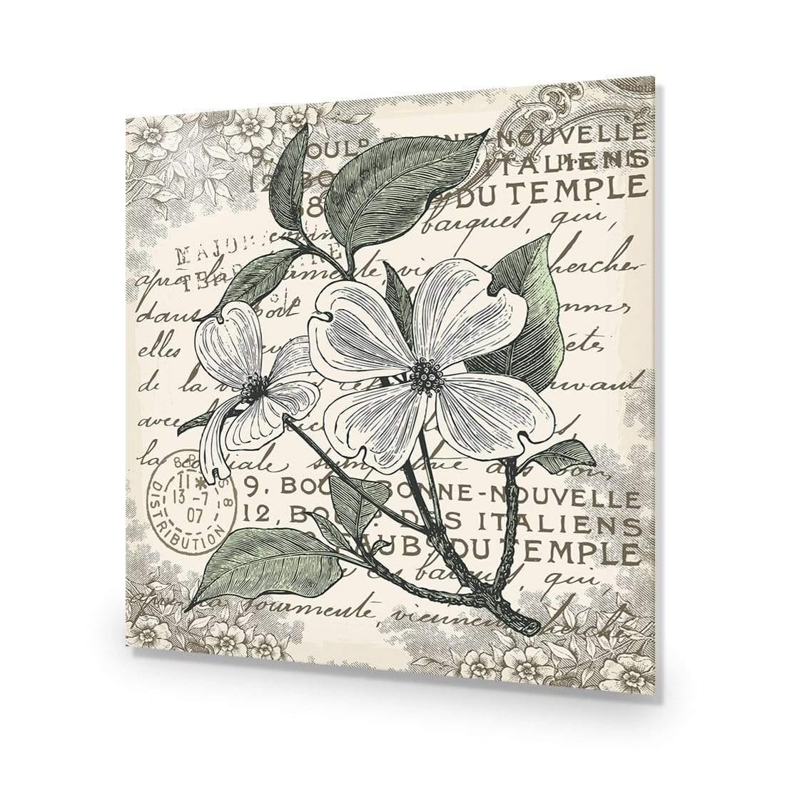 Shabby Chic Flower 8 - Wall Art Designs - 3234_AS_Q WAD_AP - 030 - EDG_37x37_NONE