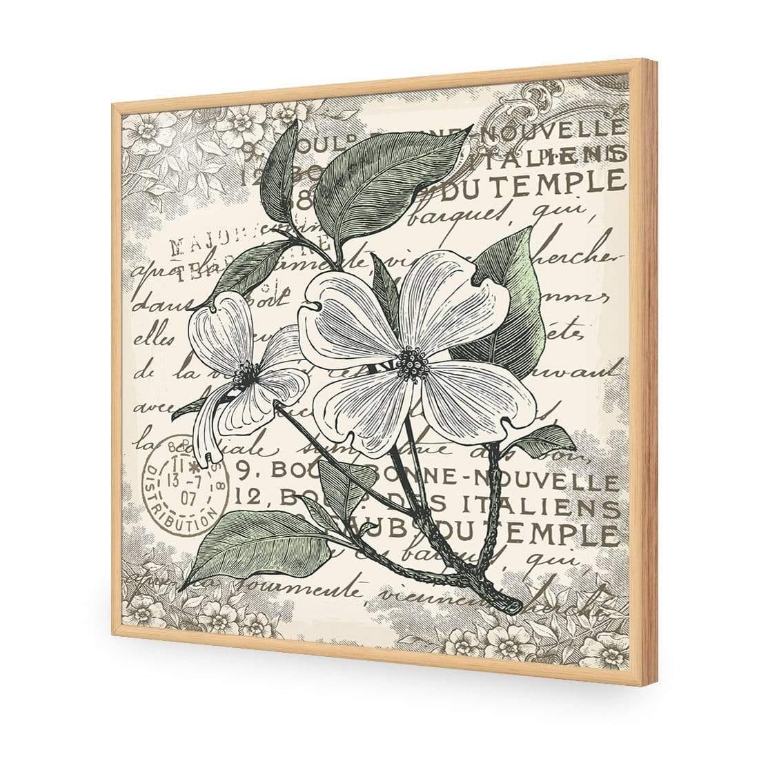 Shabby Chic Flower 8 - Wall Art Designs - 3234_AS_Q WAD_AP - 030 - EDG_37x37_S - 2538 - OAK