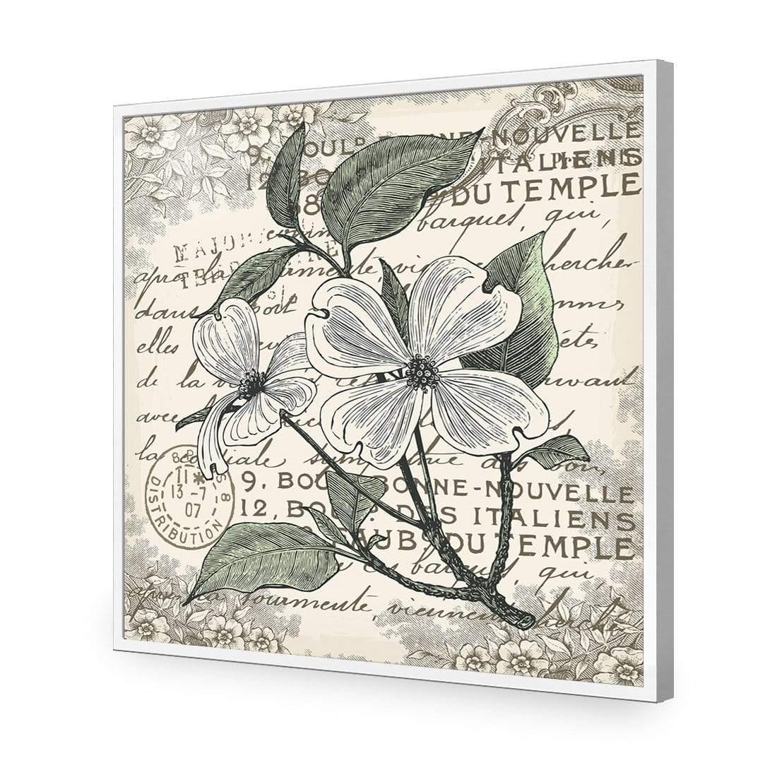 Shabby Chic Flower 8 - Wall Art Designs - 3234_AS_Q WAD_AP - 030 - EDG_37x37_S - 2538 - WHT