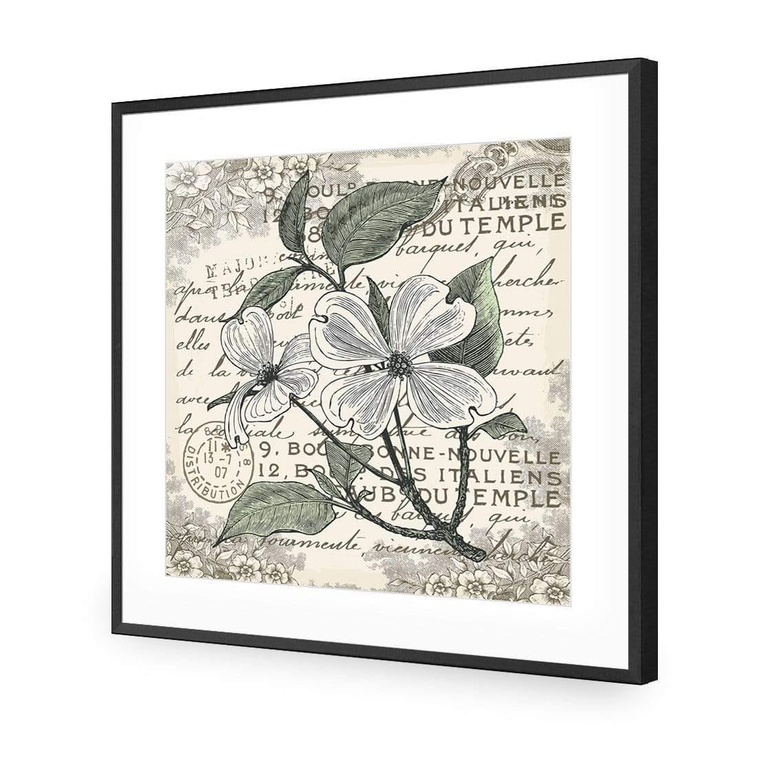 Shabby Chic Flower 8 - Wall Art Designs - 3234_AS_Q WAD_AP - 030 - MAT_37x37_S - 2538 - BLK