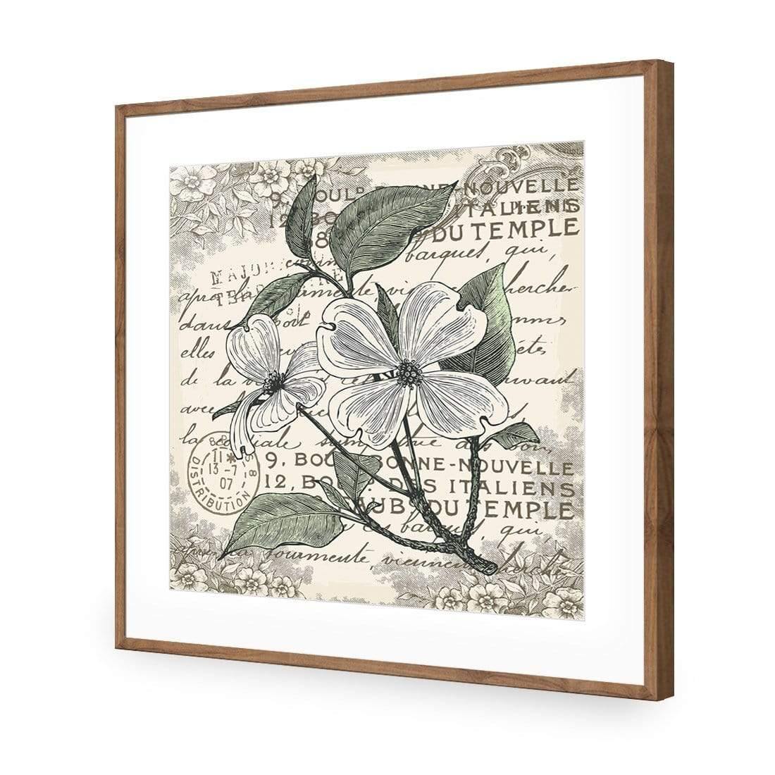 Shabby Chic Flower 8 - Wall Art Designs - 3234_AS_Q WAD_AP - 030 - MAT_37x37_S - 2538 - NAT