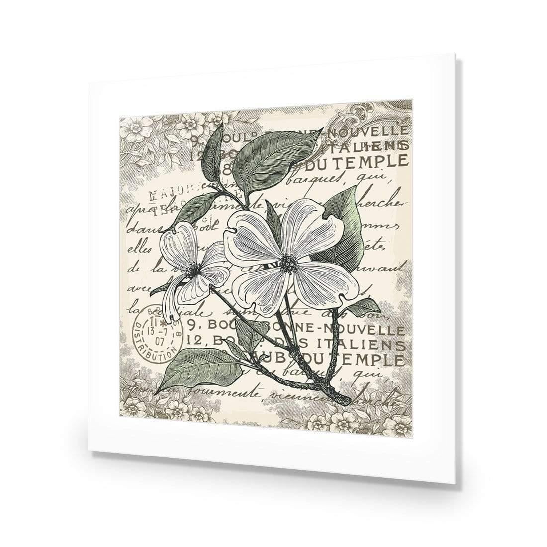 Shabby Chic Flower 8 - Wall Art Designs - 3234_AS_Q WAD_AP - 030 - MAT_37x37_NONE