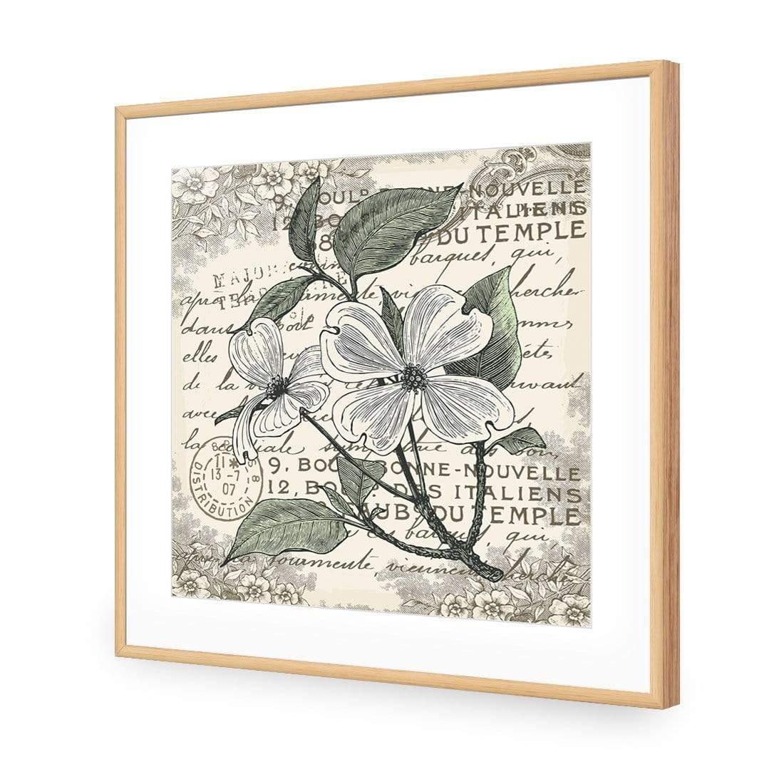 Shabby Chic Flower 8 - Wall Art Designs - 3234_AS_Q WAD_AP - 030 - MAT_37x37_S - 2538 - OAK