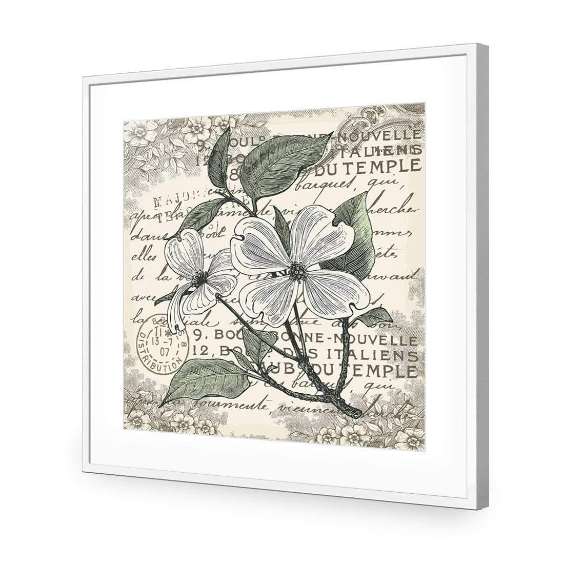 Shabby Chic Flower 8 - Wall Art Designs - 3234_AS_Q WAD_AP - 030 - MAT_37x37_S - 2538 - WHT