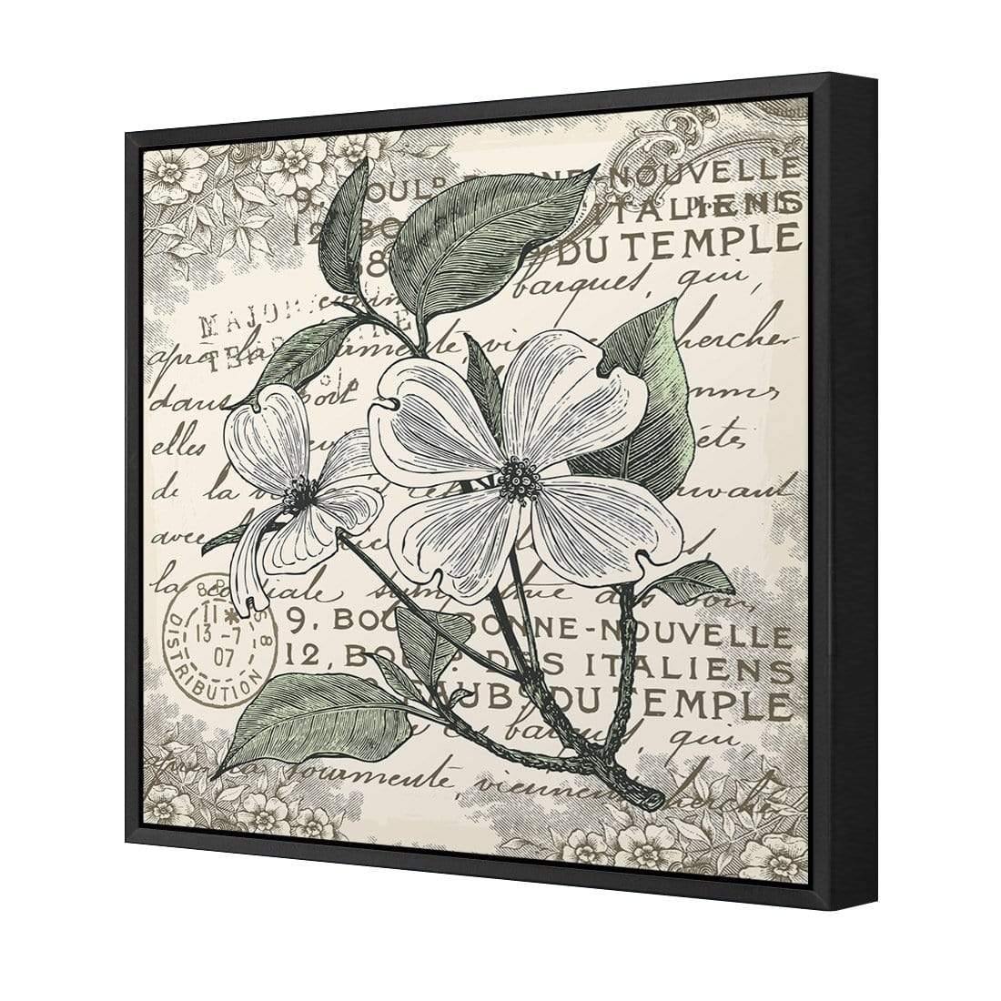 Shabby Chic Flower 8 - Wall Art Designs - 3234_AS_Q WAD_CP - MPY - 260 - M - S - S_37x37_S - 1550 - BLK