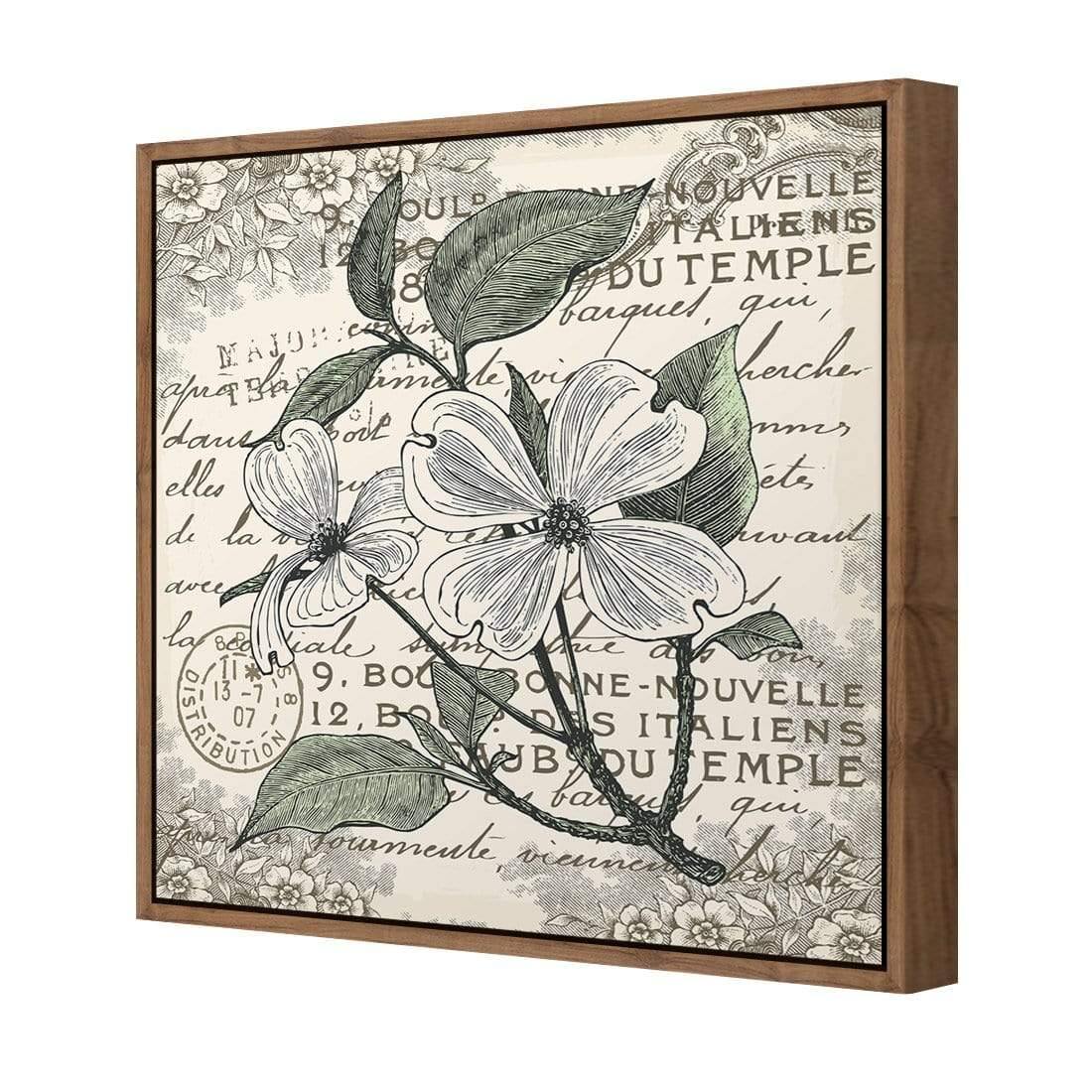 Shabby Chic Flower 8 - Wall Art Designs - 3234_AS_Q WAD_CP - MPY - 260 - M - S - S_37x37_S - 1550 - NAT