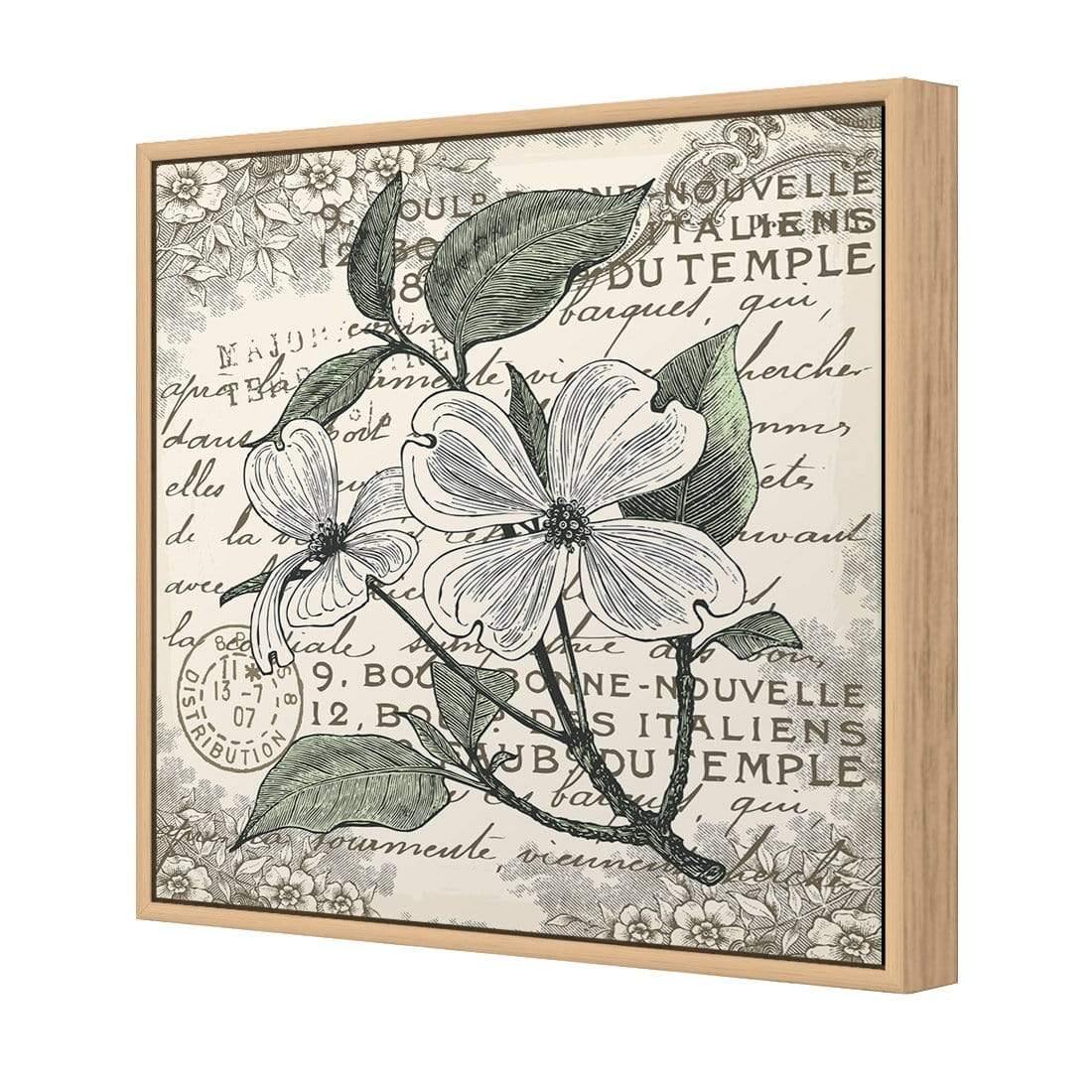 Shabby Chic Flower 8 - Wall Art Designs - 3234_AS_Q WAD_CP - MPY - 260 - M - S - S_37x37_S - 1550 - OAK