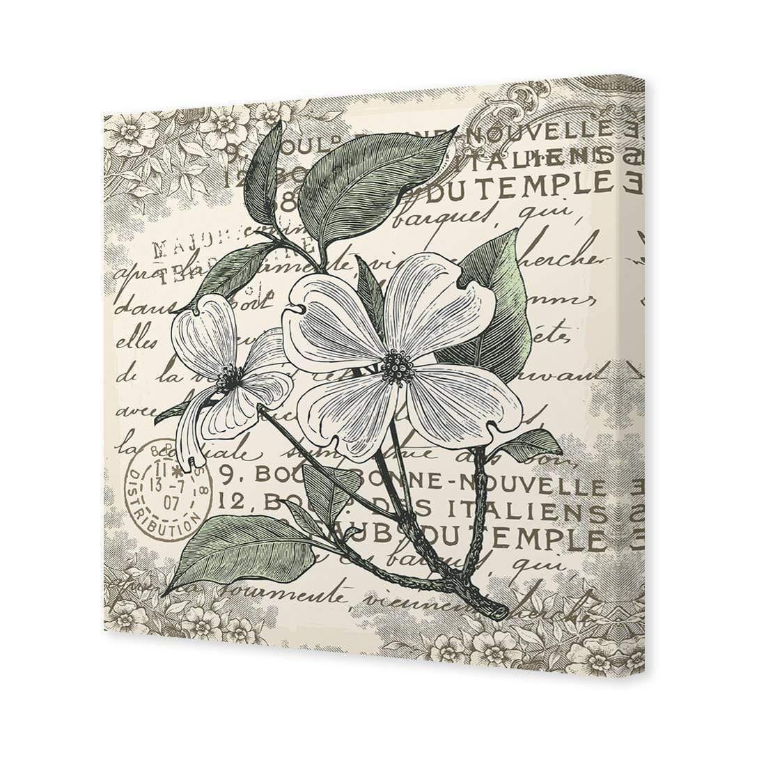 Shabby Chic Flower 8 - Wall Art Designs - 3234_AS_Q WAD_CP - MPY - 260 - M - S - S_37x37_NONE