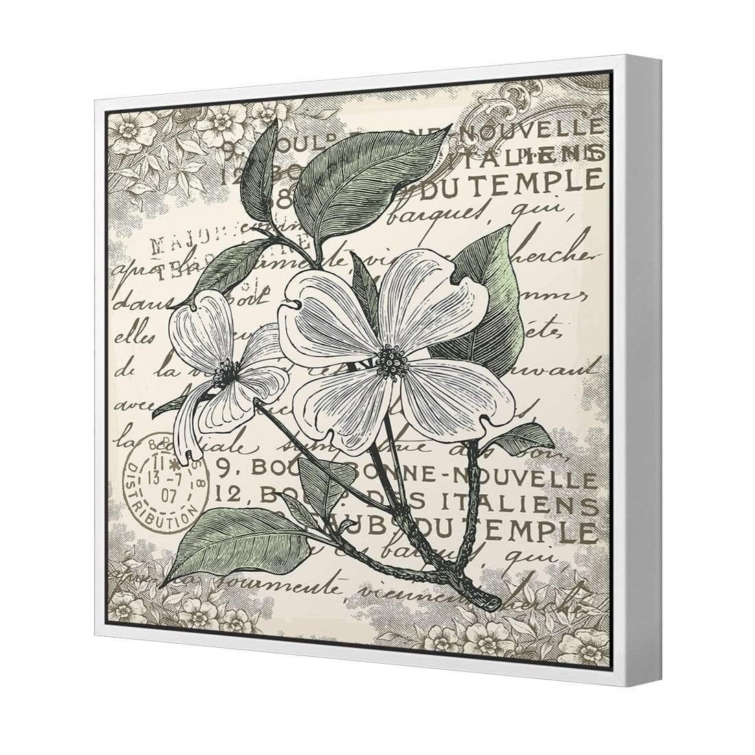 Shabby Chic Flower 8 - Wall Art Designs - 3234_AS_Q WAD_CP - MPY - 260 - M - S - S_37x37_S - 1550 - WHT