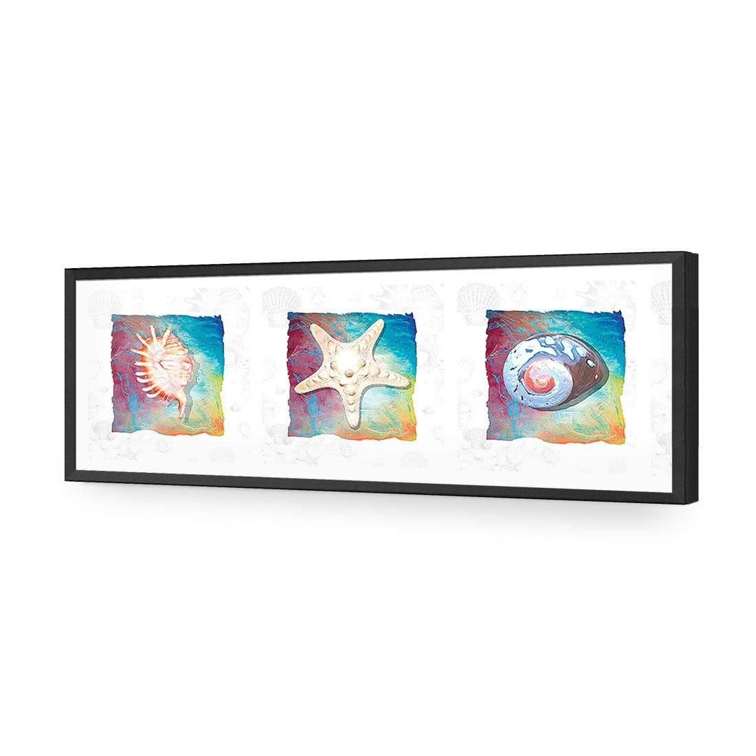 Shell Montage - Wall Art Designs - 1411_AL_H WAD_AP - 030 - EDG_90x30_S - 2538 - BLK