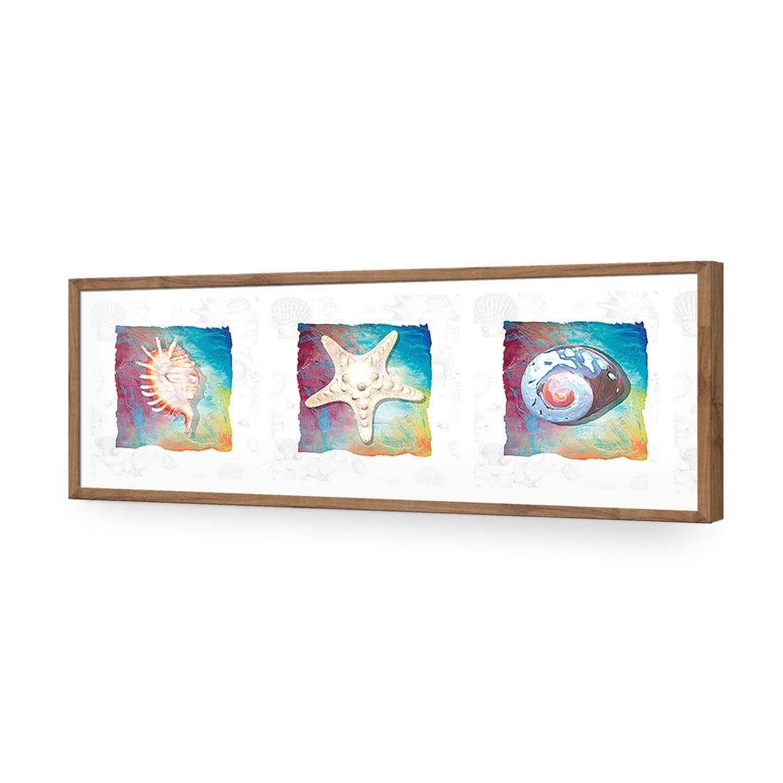 Shell Montage - Wall Art Designs - 1411_AL_H WAD_AP - 030 - EDG_90x30_S - 2538 - NAT