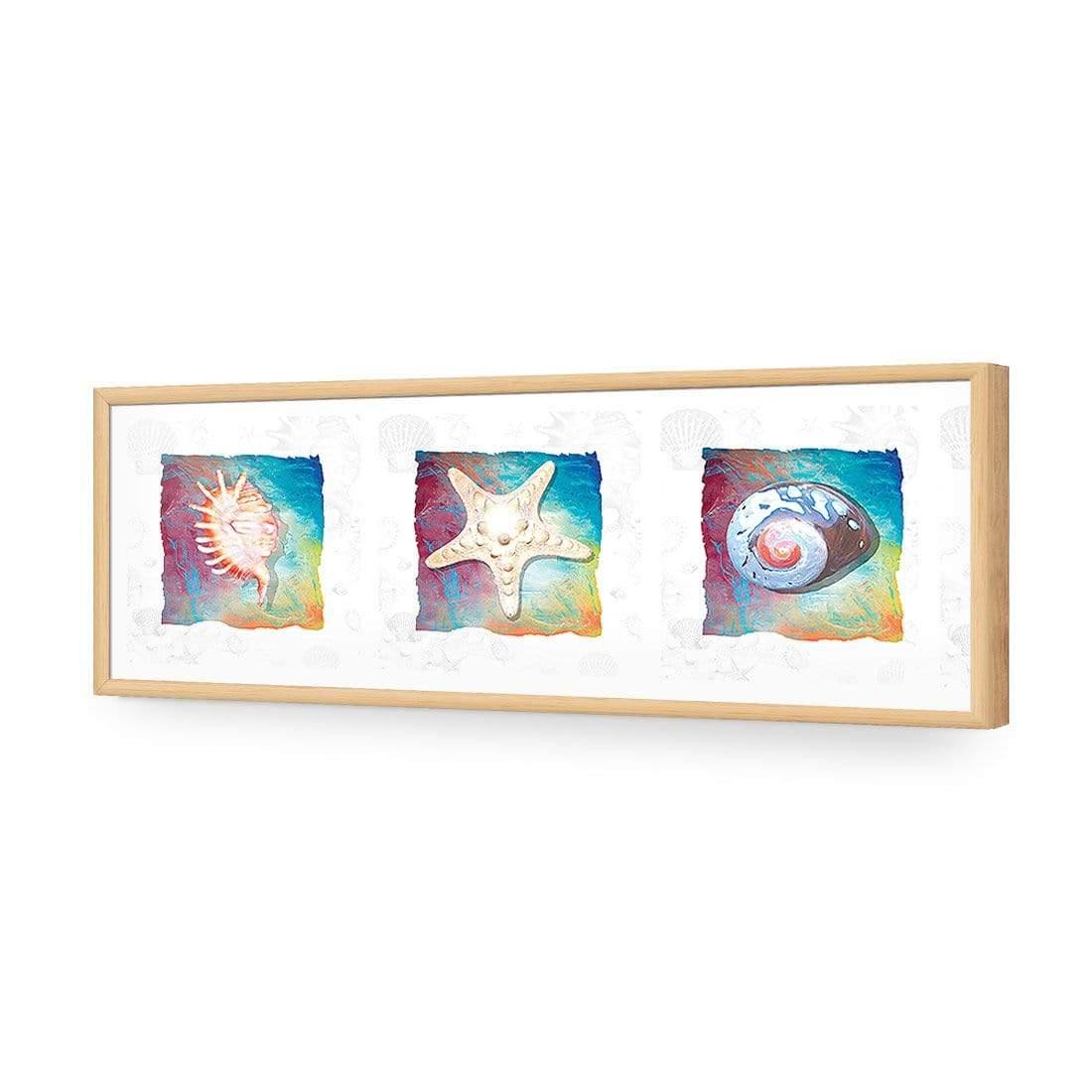 Shell Montage - Wall Art Designs - 1411_AL_H WAD_AP - 030 - EDG_90x30_S - 2538 - OAK