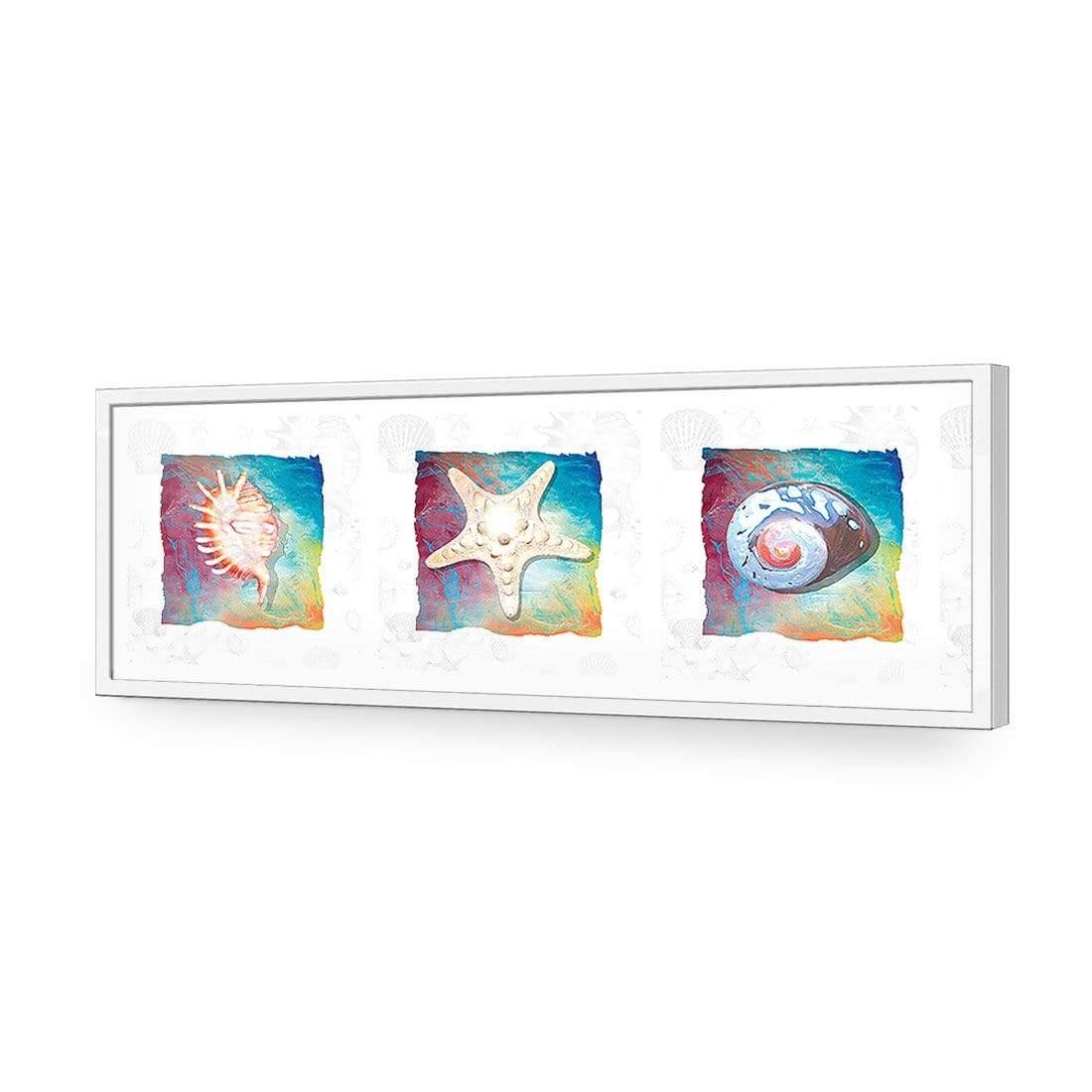 Shell Montage - Wall Art Designs - 1411_AL_H WAD_AP - 030 - EDG_90x30_S - 2538 - WHT