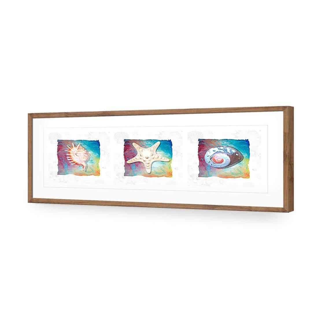 Shell Montage - Wall Art Designs - 1411_AL_H WAD_AP - 030 - MAT_90x30_S - 2538 - NAT