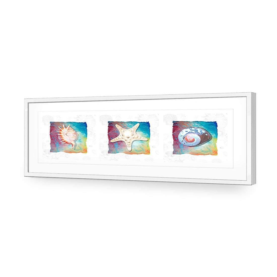 Shell Montage - Wall Art Designs - 1411_AL_H WAD_AP - 030 - MAT_90x30_S - 2538 - WHT