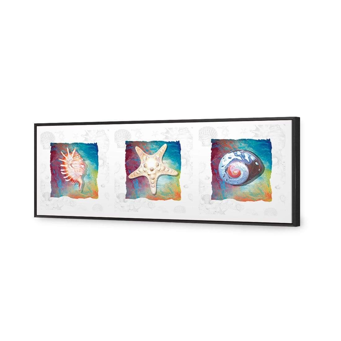 Shell Montage - Wall Art Designs - 1411_AL_H WAD_CP - MPY - 260 - M - S - S_60x20_S - 1550 - BLK