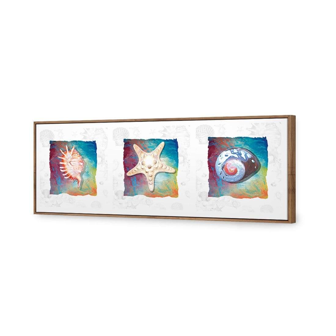 Shell Montage - Wall Art Designs - 1411_AL_H WAD_CP - MPY - 260 - M - S - S_60x20_S - 1550 - NAT