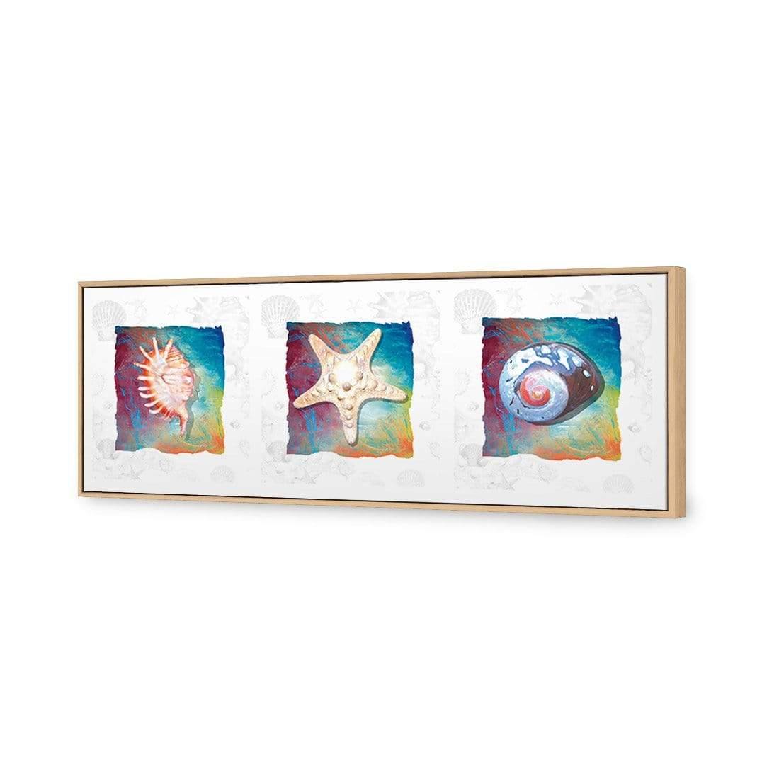 Shell Montage - Wall Art Designs - 1411_AL_H WAD_CP - MPY - 260 - M - S - S_60x20_S - 1550 - OAK