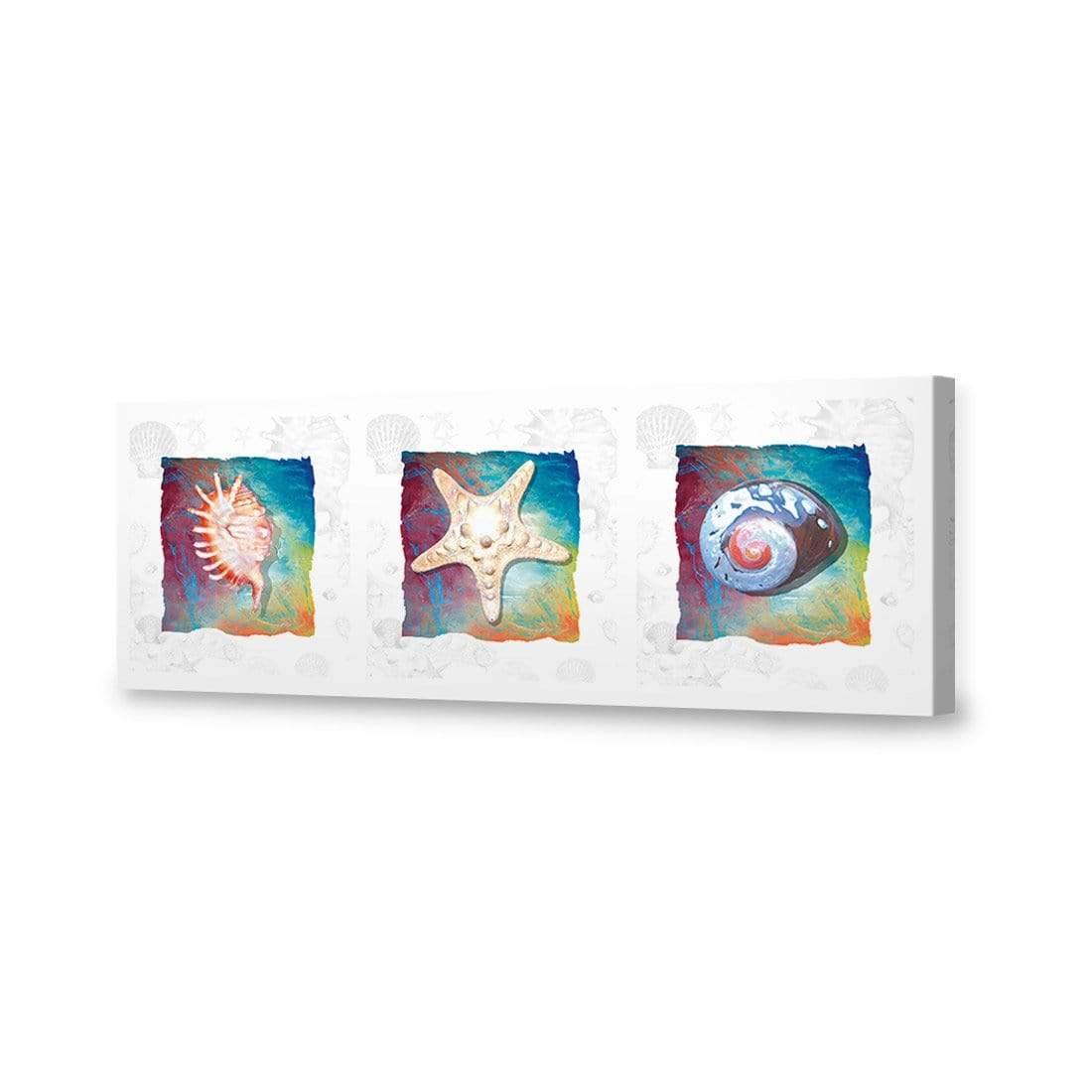 Shell Montage - Wall Art Designs - 1411_AL_H WAD_CP - MPY - 260 - M - S - S_60x20_NONE