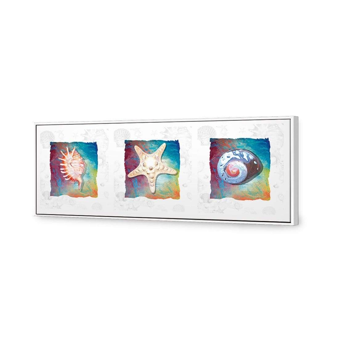 Shell Montage - Wall Art Designs - 1411_AL_H WAD_CP - MPY - 260 - M - S - S_60x20_S - 1550 - WHT