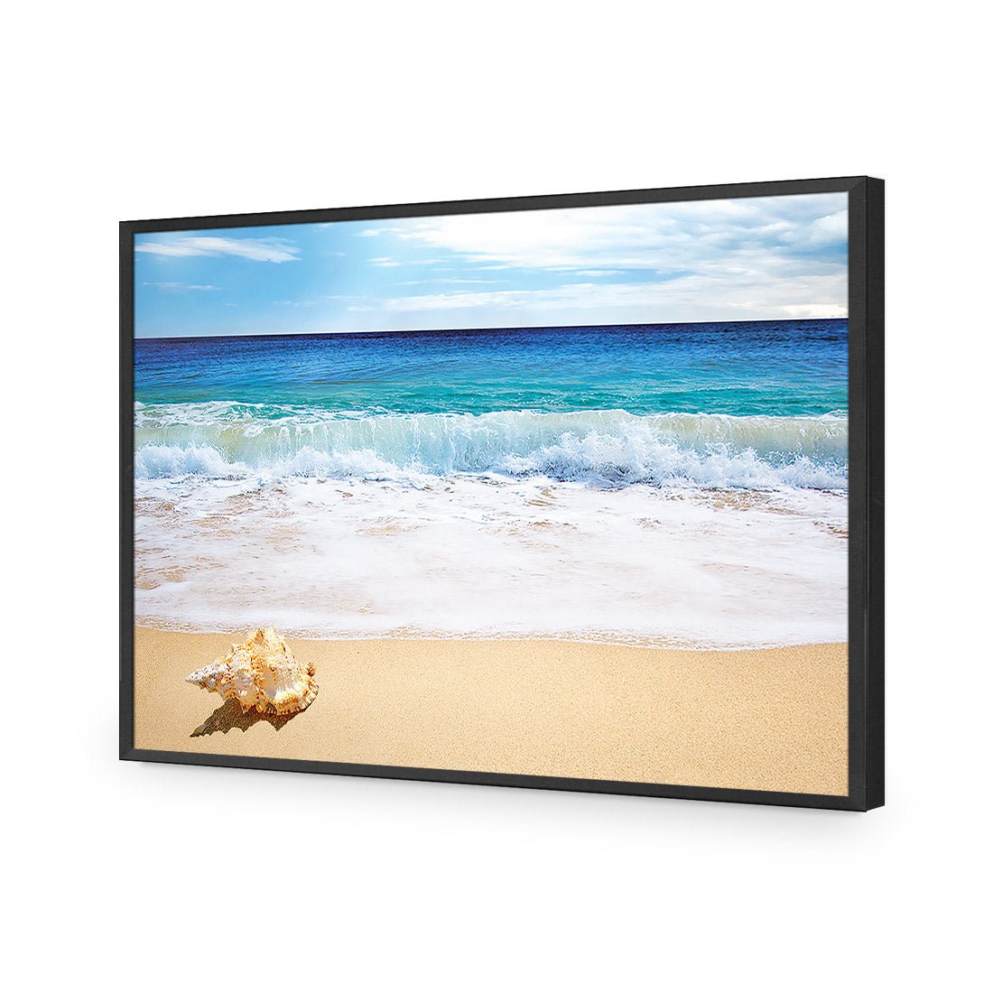 Shell on Beach - Wall Art Designs - 1193_AR_H WAD_AP - 030 - EDG_45x30_S - 2538 - BLK