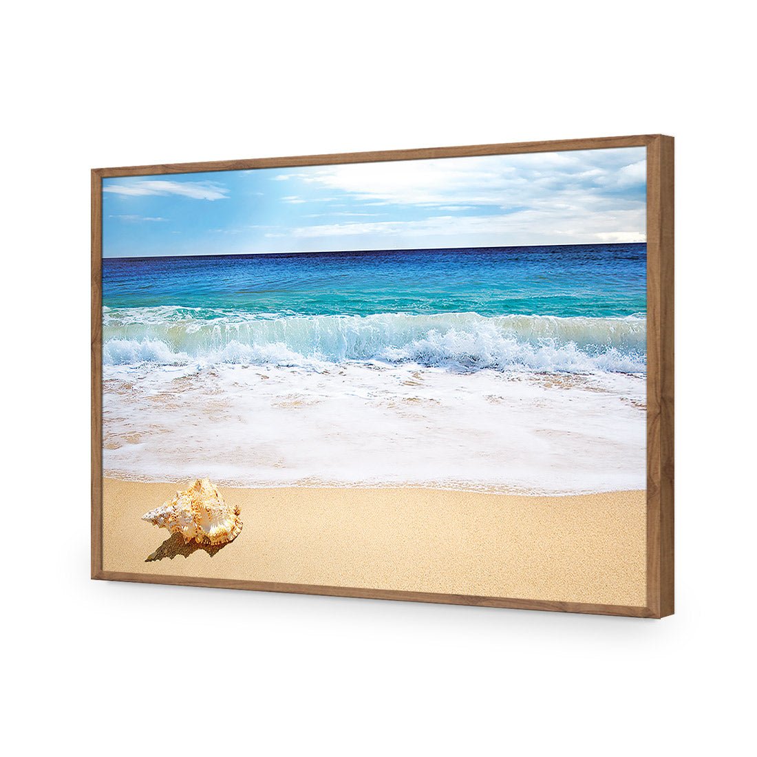 Shell on Beach - Wall Art Designs - 1193_AR_H WAD_AP - 030 - EDG_45x30_S - 2538 - NAT