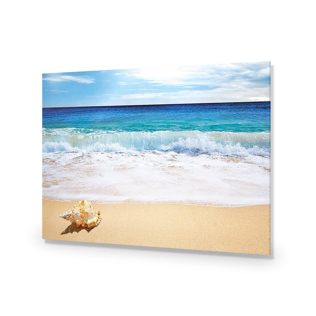 Shell on Beach - Wall Art Designs - 1193_AR_H WAD_AP - 030 - EDG_45x30_NONE