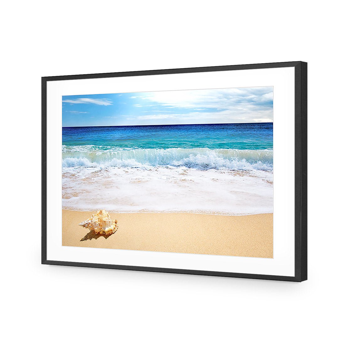 Shell on Beach - Wall Art Designs - 1193_AR_H WAD_AP - 030 - MAT_45x30_S - 2538 - BLK