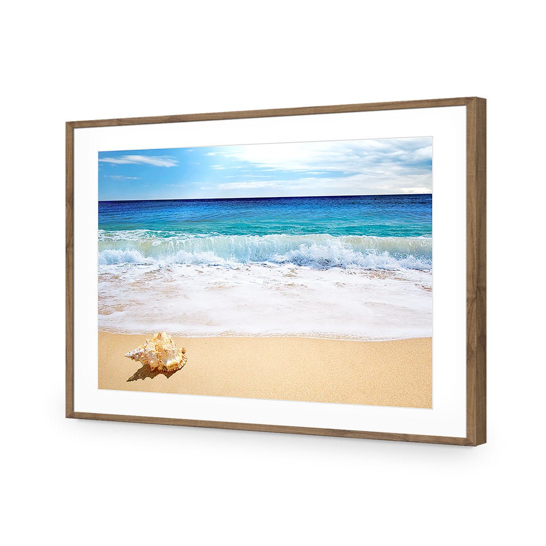 Shell on Beach - Wall Art Designs - 1193_AR_H WAD_AP - 030 - MAT_45x30_S - 2538 - NAT