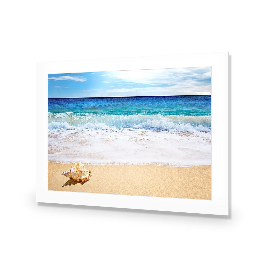 Shell on Beach - Wall Art Designs - 1193_AR_H WAD_AP - 030 - MAT_45x30_NONE