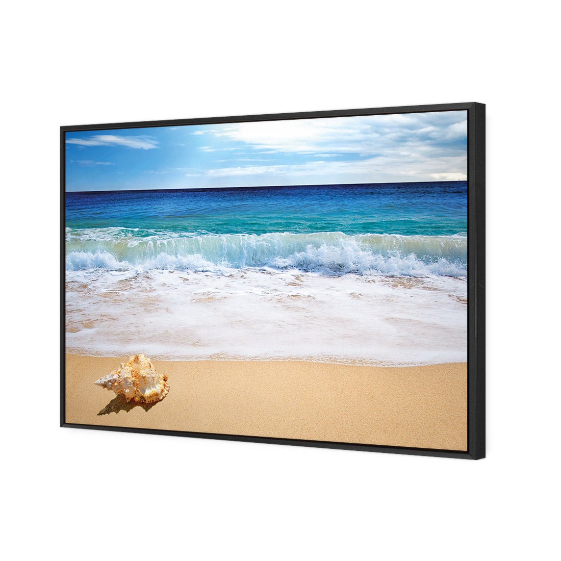 Shell on Beach - Wall Art Designs - 1193_AR_H WAD_CP - MPY - 260 - M - S - S_45x30_S - 1550 - BLK