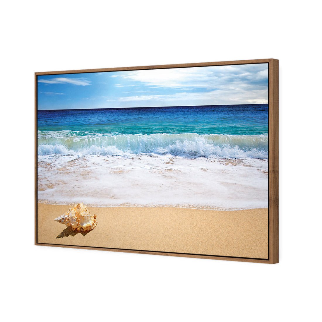 Shell on Beach - Wall Art Designs - 1193_AR_H WAD_CP - MPY - 260 - M - S - S_45x30_S - 1550 - NAT