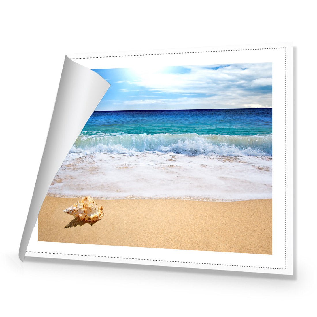 Shell on Beach - Wall Art Designs - 1193_AR_H WAD_CP - MPY - 260 - M - R_45x30_NONE