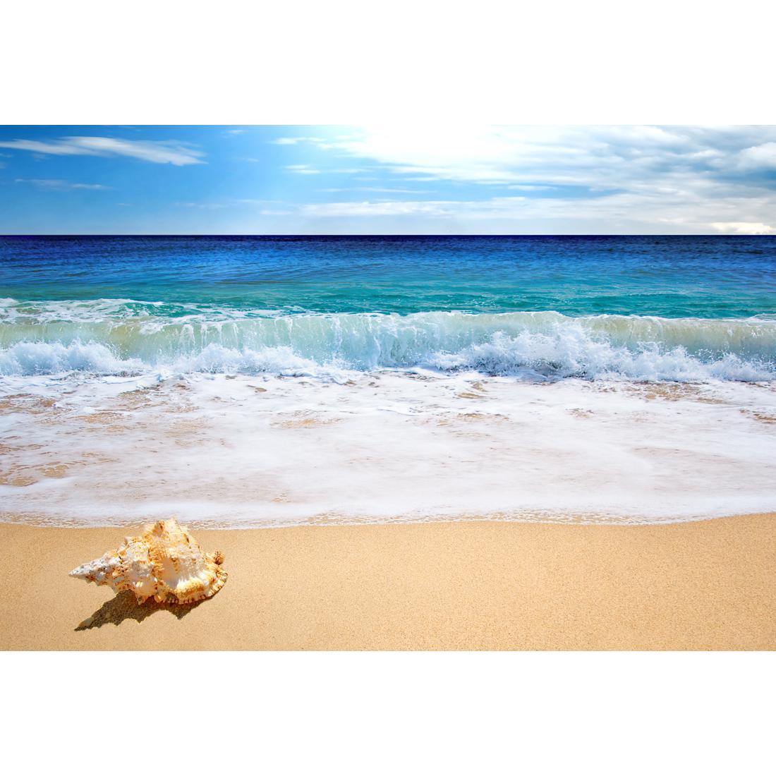 Shell on Beach - Wall Art Designs - 1193_AR_H WAD_CP - MPY - 260 - M - S - S_45x30_NONE